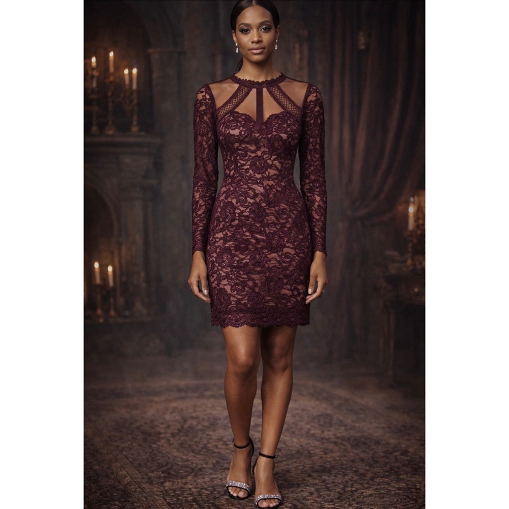 Soieblu Lace Long Sleeve Dress Burgundy Whimsigoth Vampy Dark‎ Romance